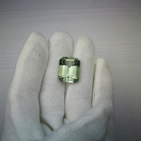 Празиолит октагон 20*16 мм